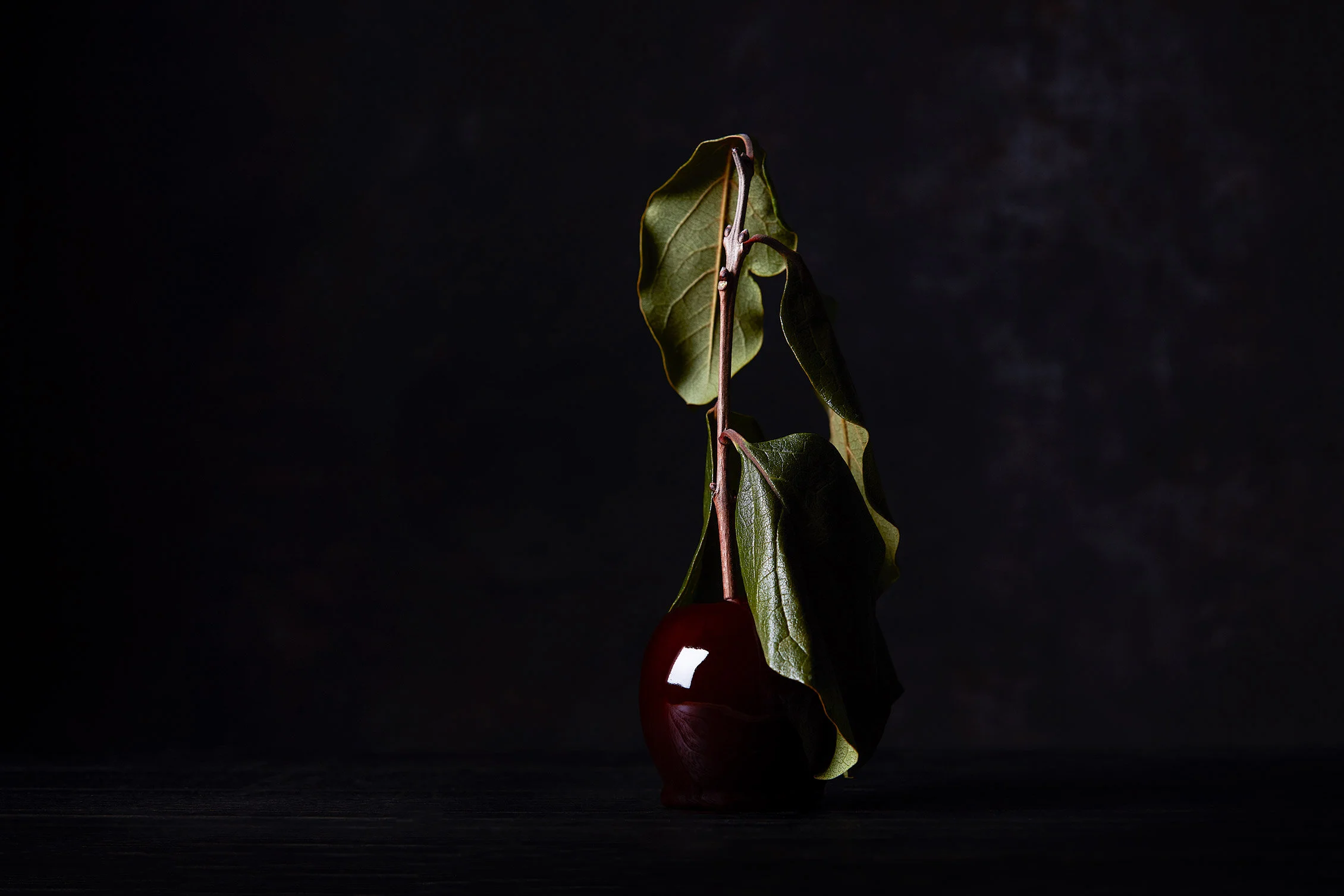 CandyApples_22440_low.jpg