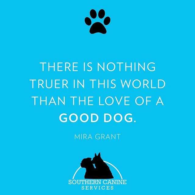#southerncanine #puppylove #tuesdaythoughts #dogtrainer #dogtrainersofinstagram