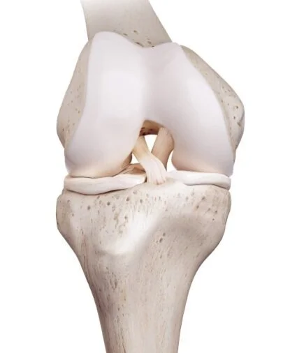 ACL_Knee_Jenkins_Physiotherapy