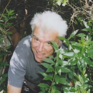 Photo of David Byrne