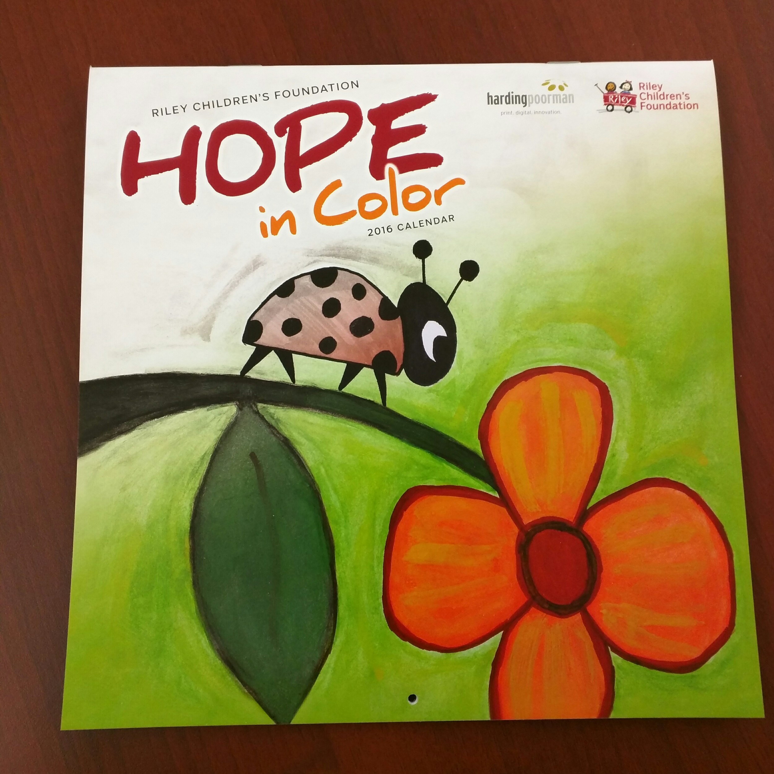 Hope_in_Color.jpg