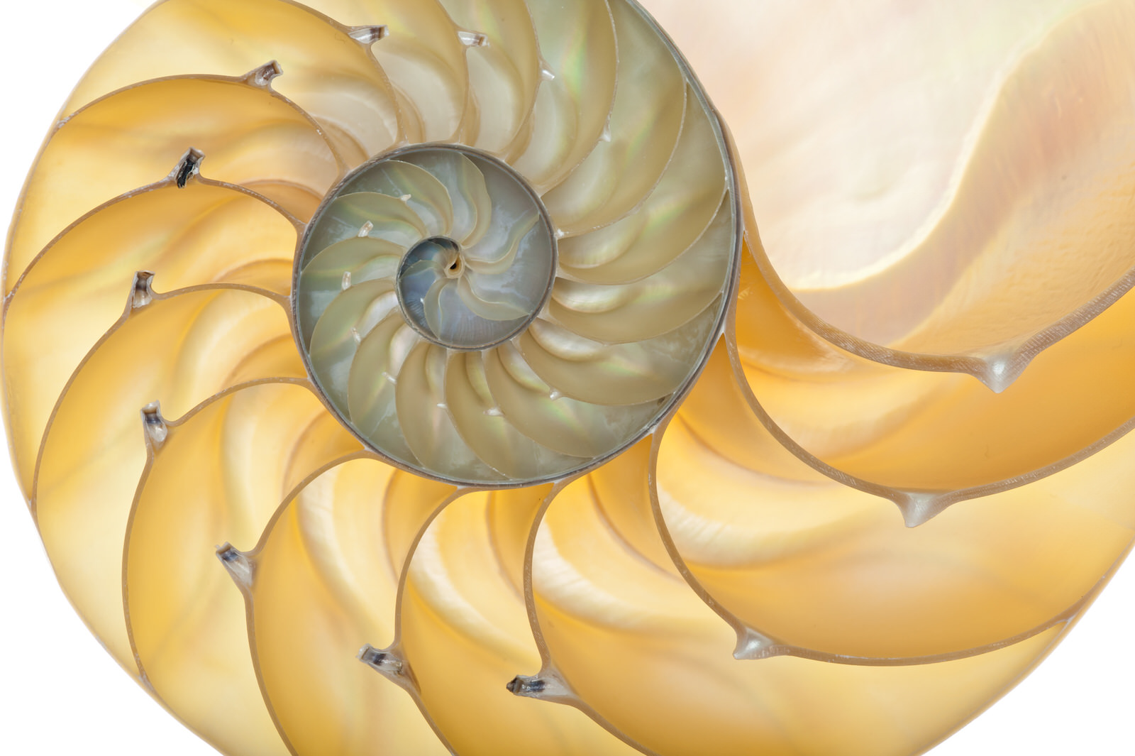 AdobeStock_30536766.jpeg