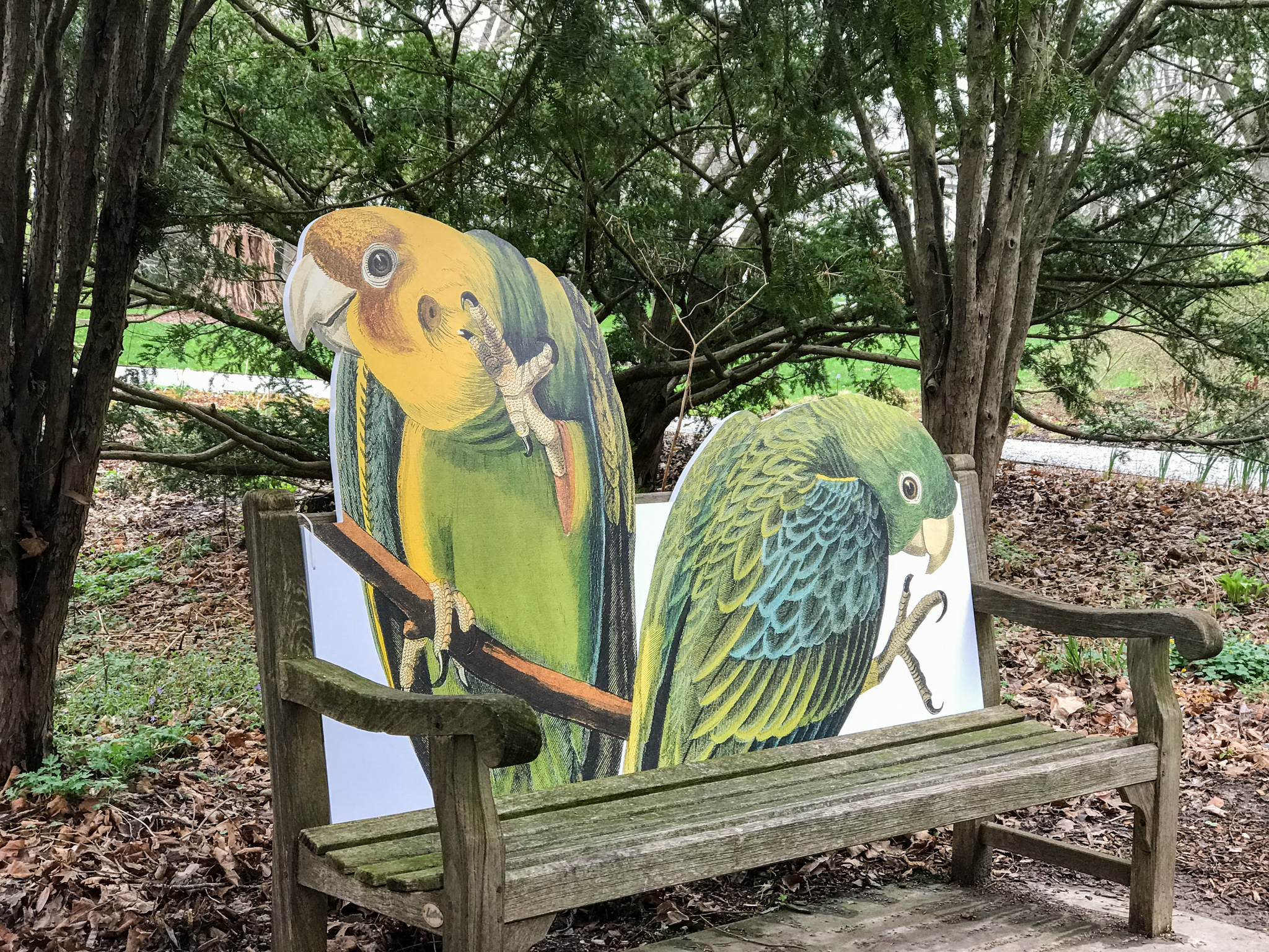 Bird Bench at Indianapolis Museum of Art