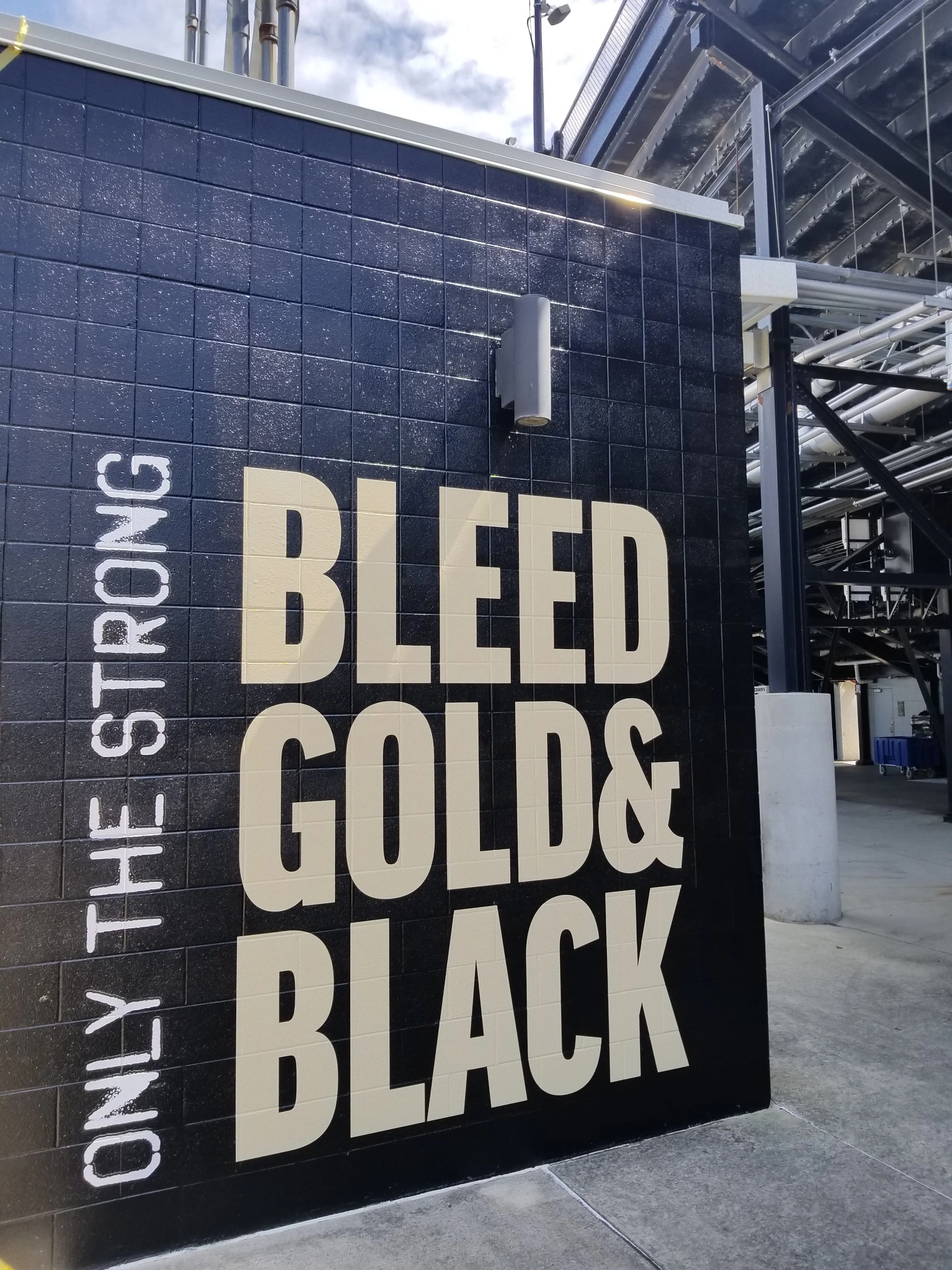 bleedgoldandblack.jpg