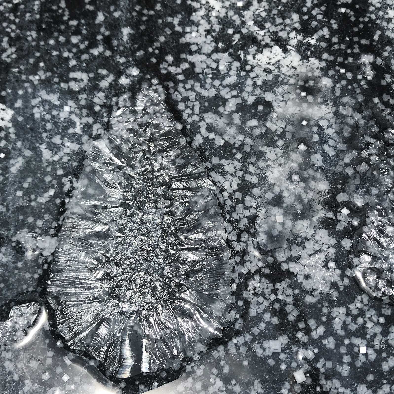 Sea salt starting to crystalize from sea water
