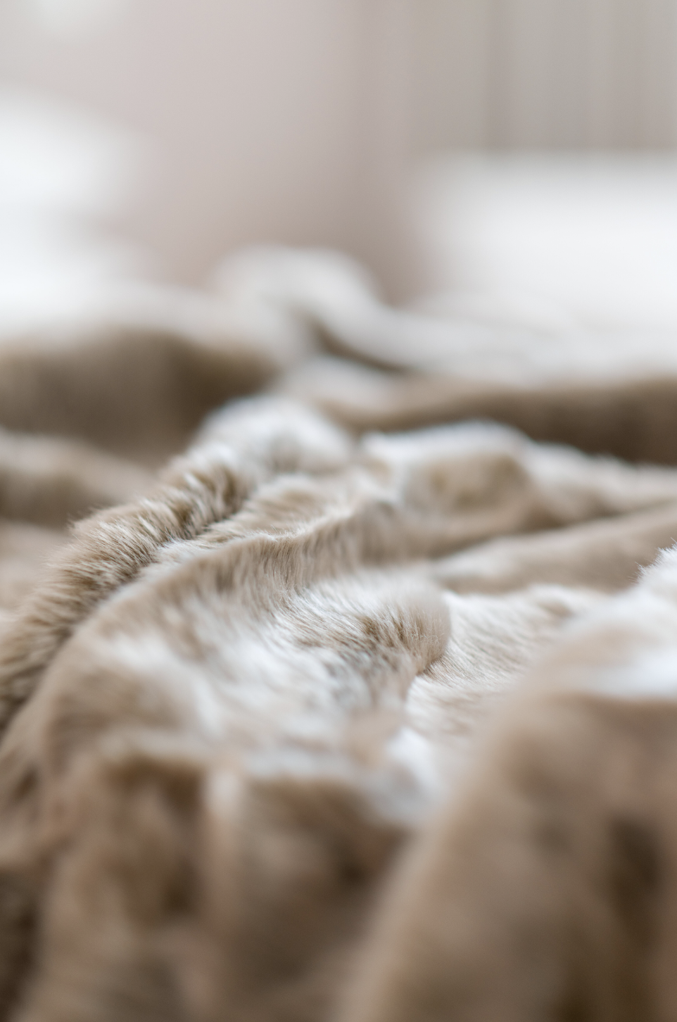 Screen Shot 2019-12-08 at 3.11.58 PM.png