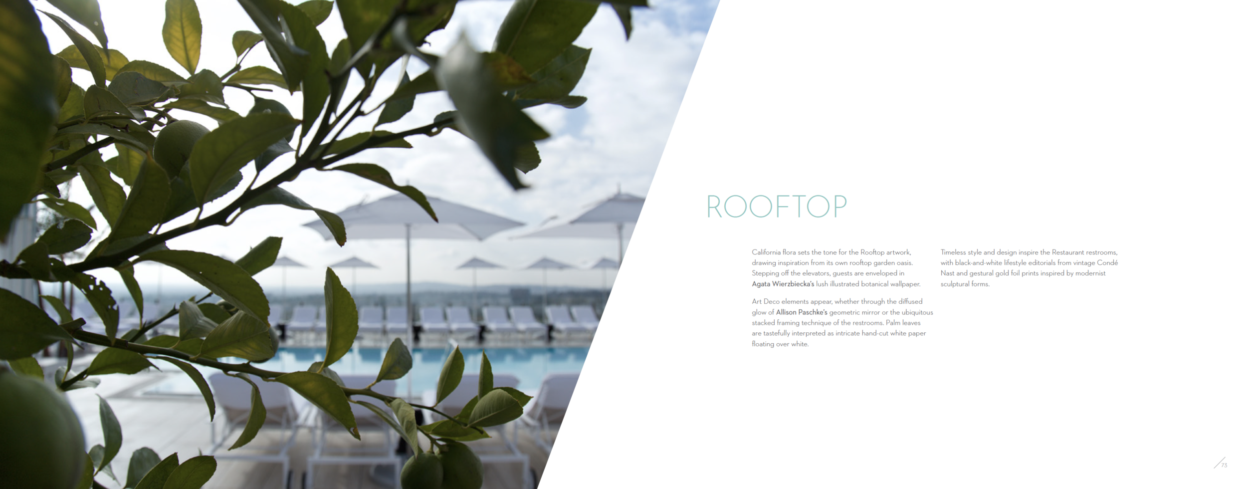 Screen Shot 2020-07-22 at 1.17.39 AM.png