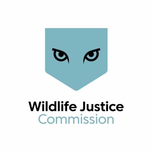 wildlife_justice.jpg