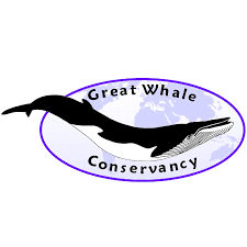 great whale.png