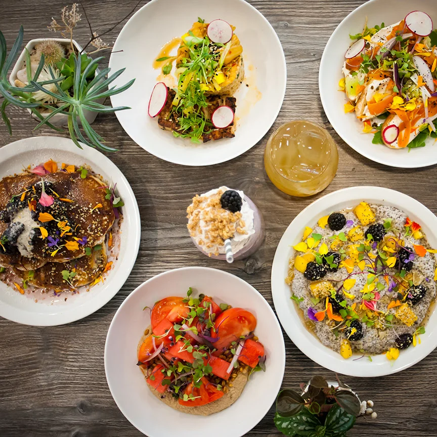 fox_fig_cafe.jpg