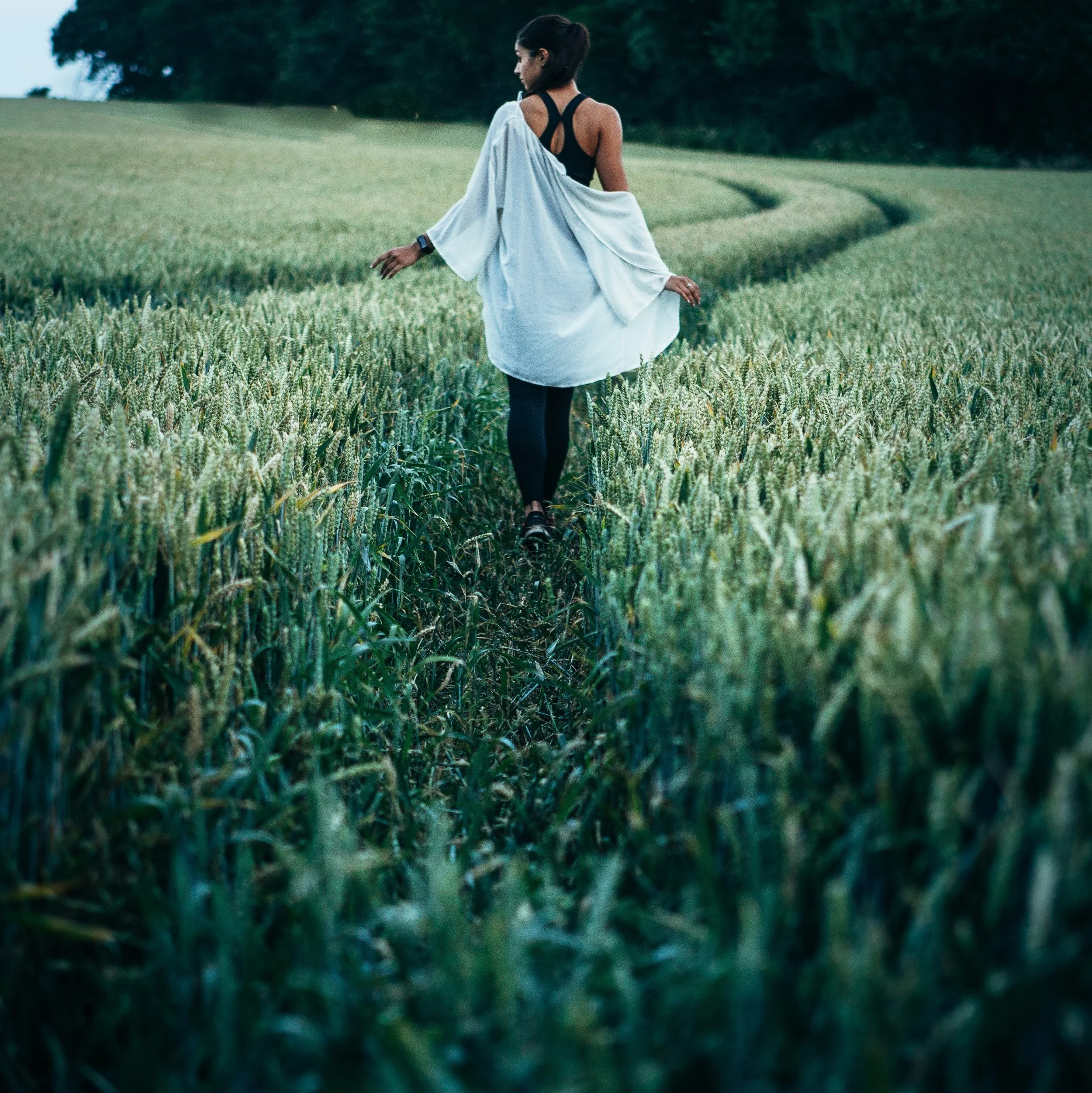 Live Your One Wild Life