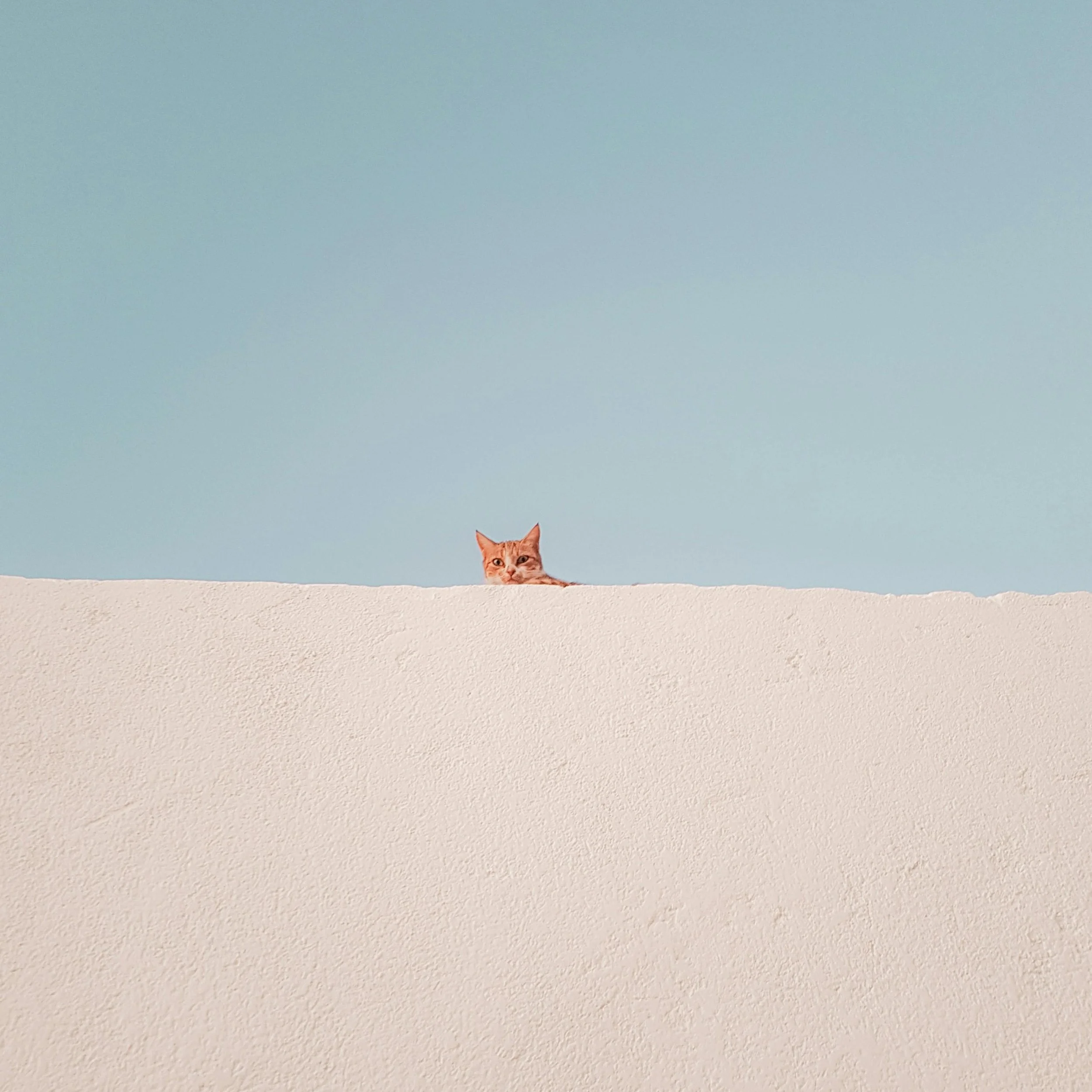 Curiosity is a Leadership Super Power