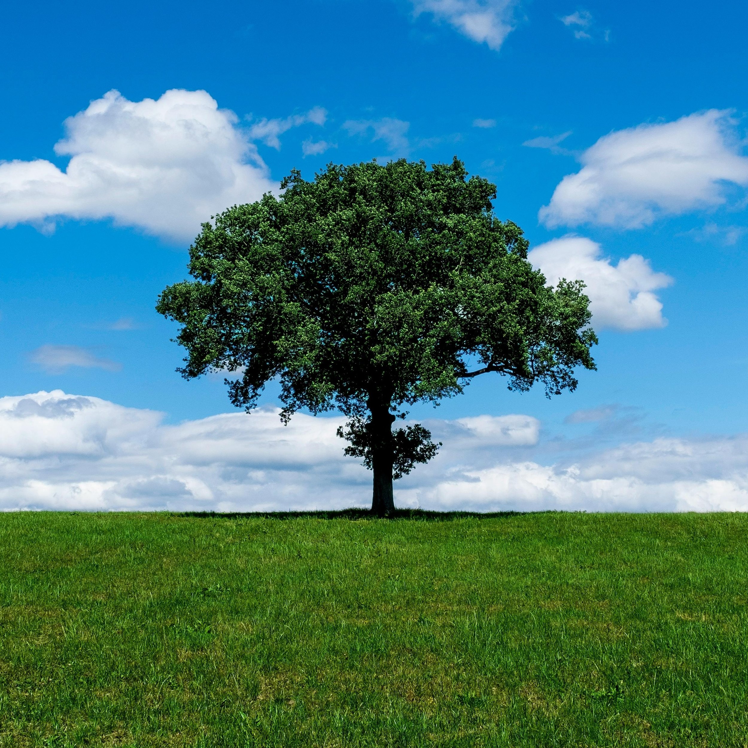 How to Stay Grounded and Present