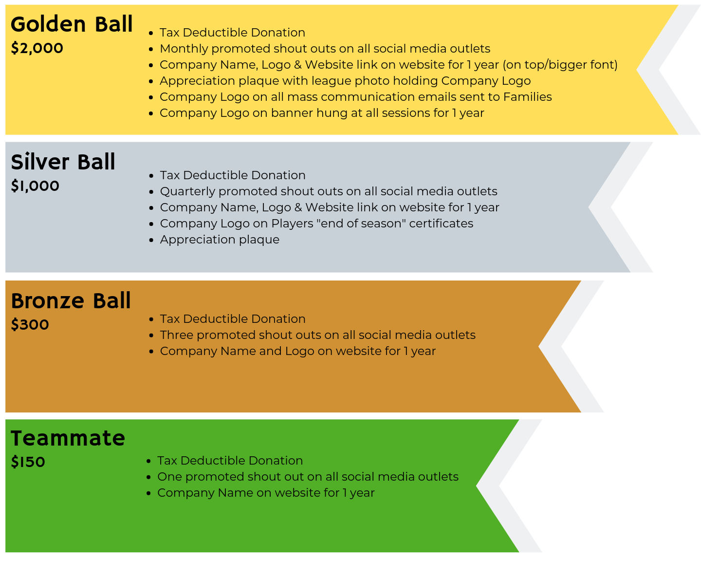 Sponsorship Levels - Website Image.png