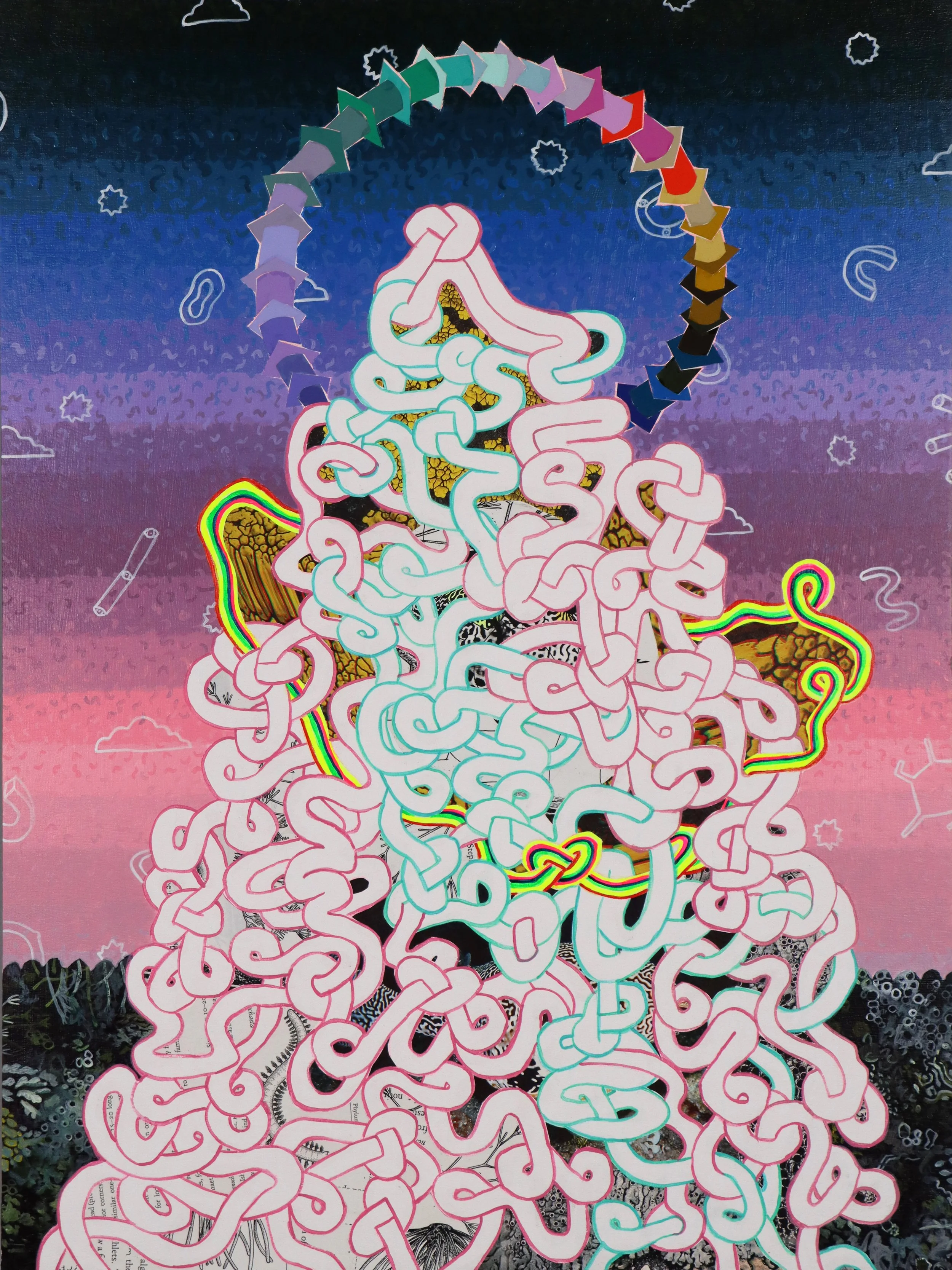 Tangled Mountain