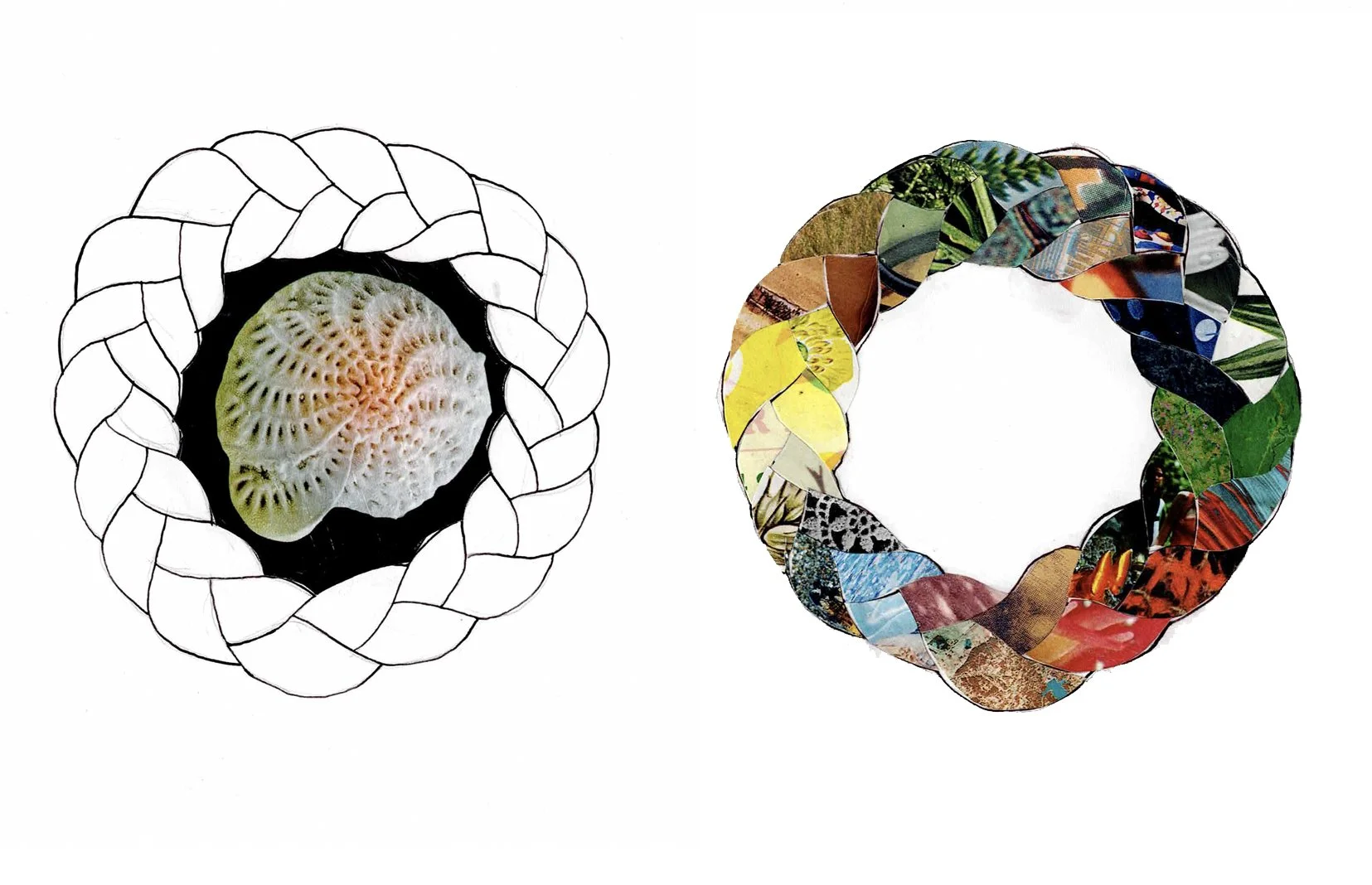 Nestler_Sunny_Specimen Portals.jpg