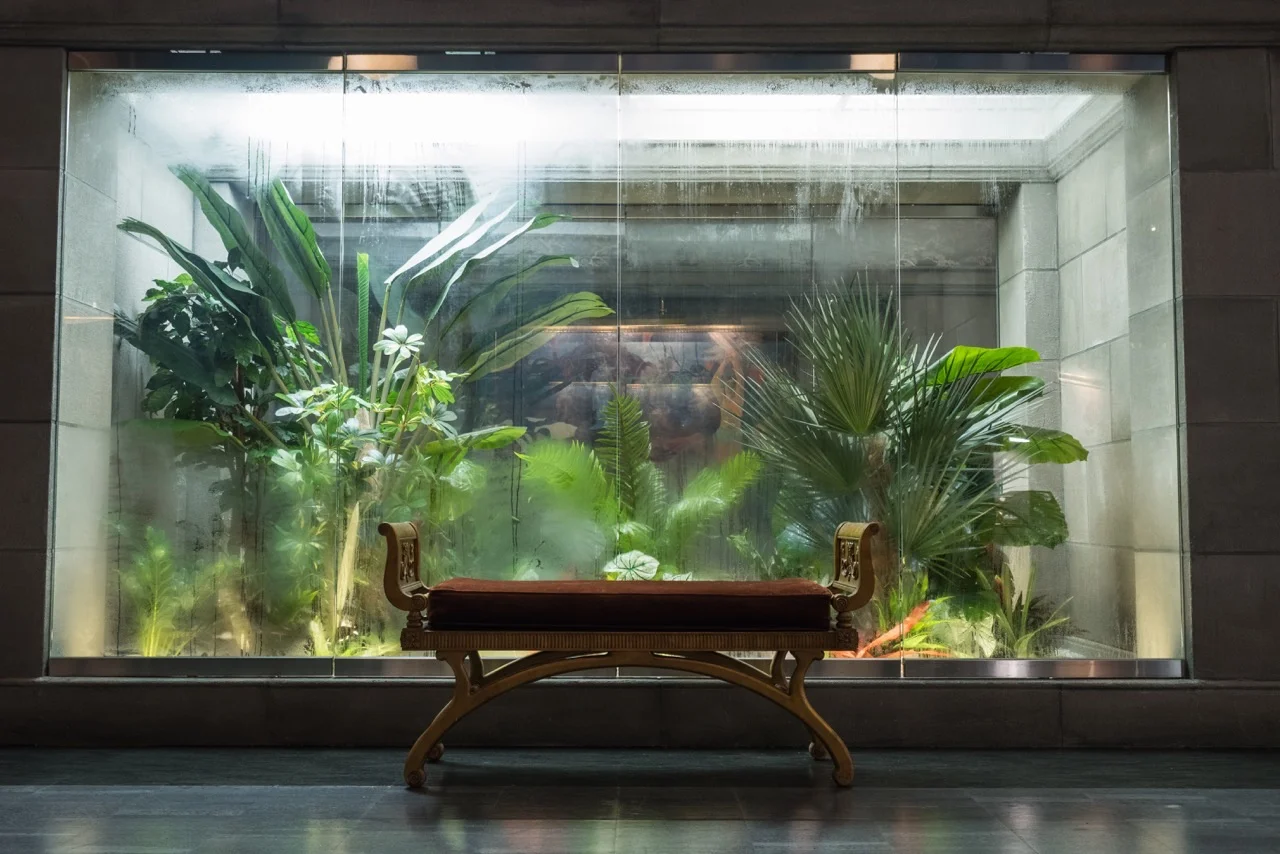 JUNIPR's founder and lead designer, Chelsea, created these two lush tropical terrariums for the set of Marvel's Iron Fist series on Netflix. 
