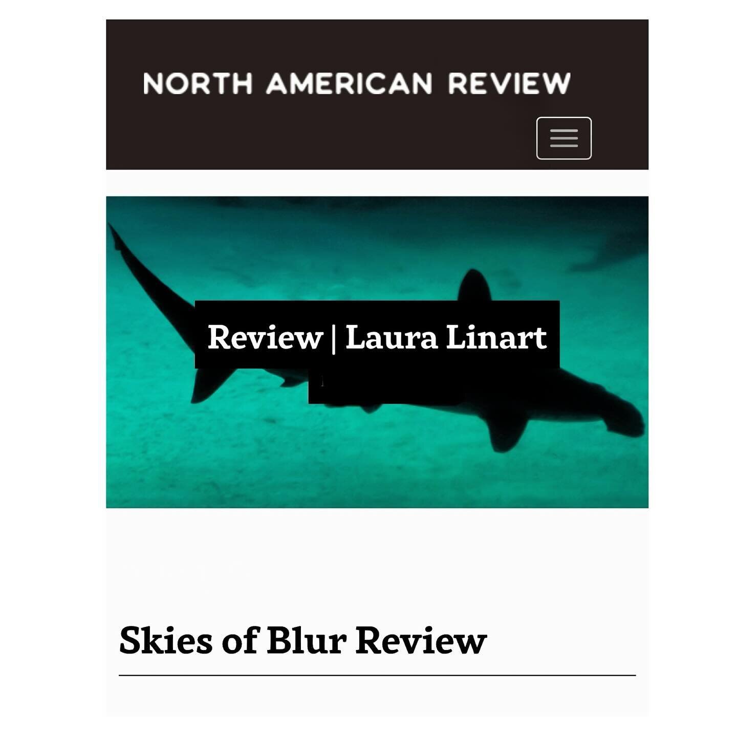 I&rsquo;m so grateful to @pennyscientist for her generous and thoughtful piece on #SKIESOFBLUR over at @northamericanreview. Link in bio! &ldquo;&hellip;so it is with the speakers throughout Skies of Blur, who come apart throughout these poems, split