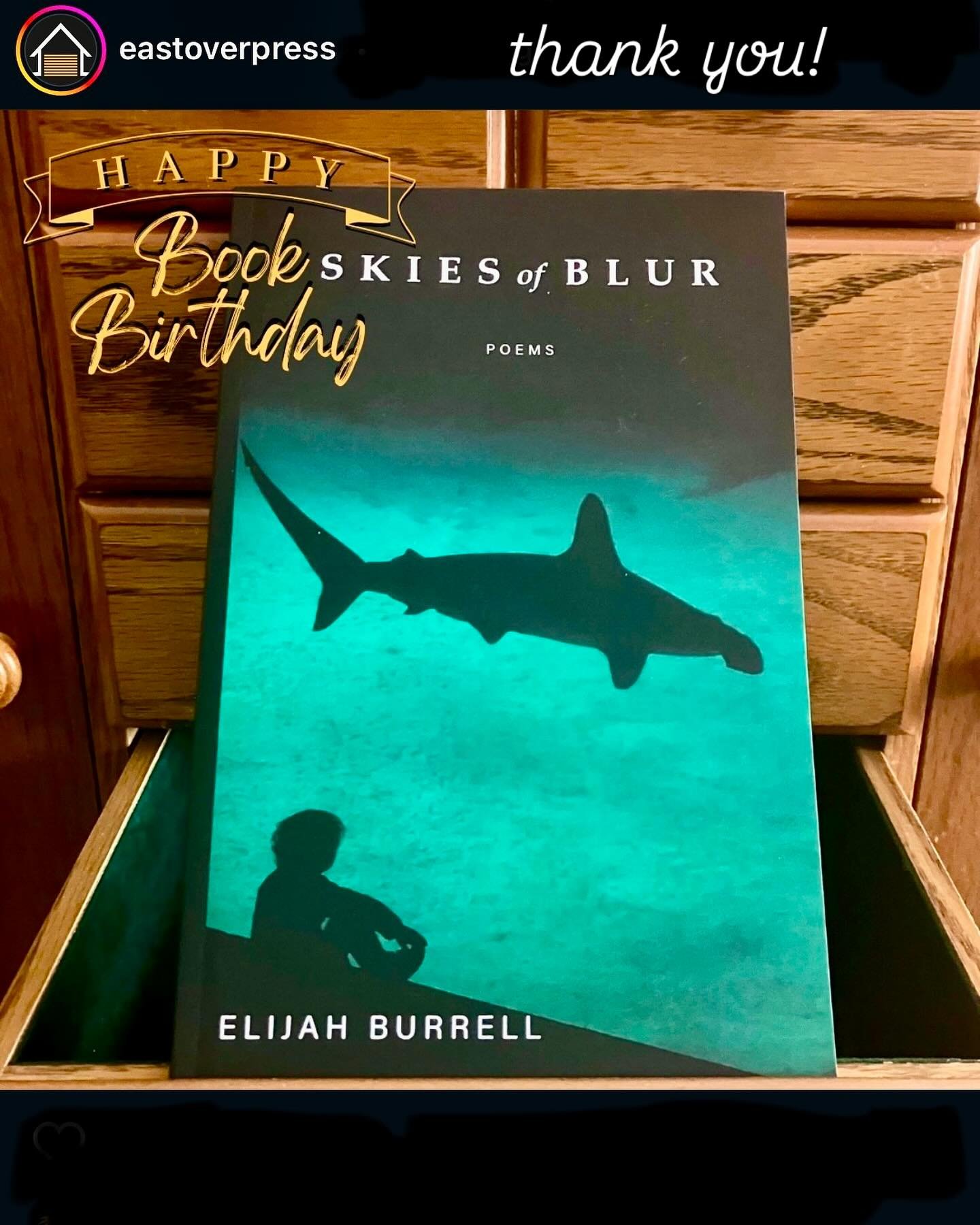 It&rsquo;s been a year! If you haven&rsquo;t picked up Skies of Blur yet, you can find it wherever books are sold. To everyone who has purchased it and shared their kind words&mdash;thank you. To those who&rsquo;ve invited me to read, near and far&md