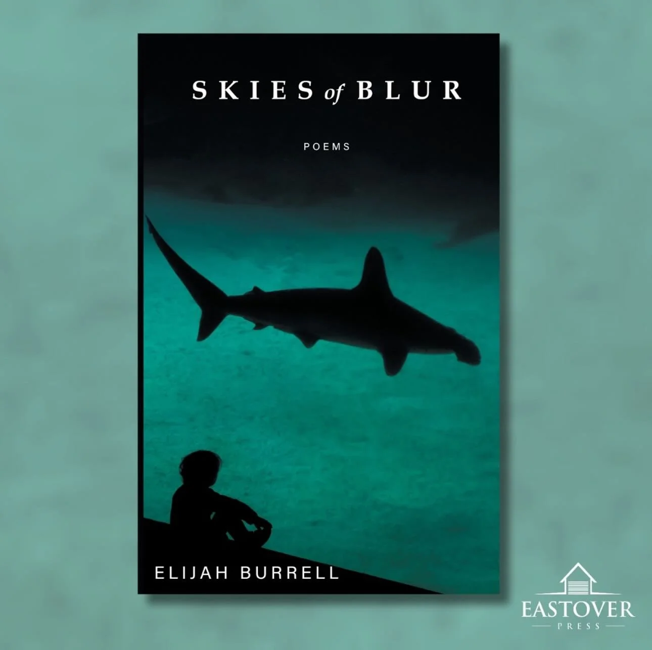 Skies of Blur is currently on sale for just 🔥 $2.95 🔥on Amazon — the lowest price I’ve ever seen. !🤷‍♂️!
If you haven’t picked up a copy of my third book, now’s a great time. Already have one? Consider grabbing an extra