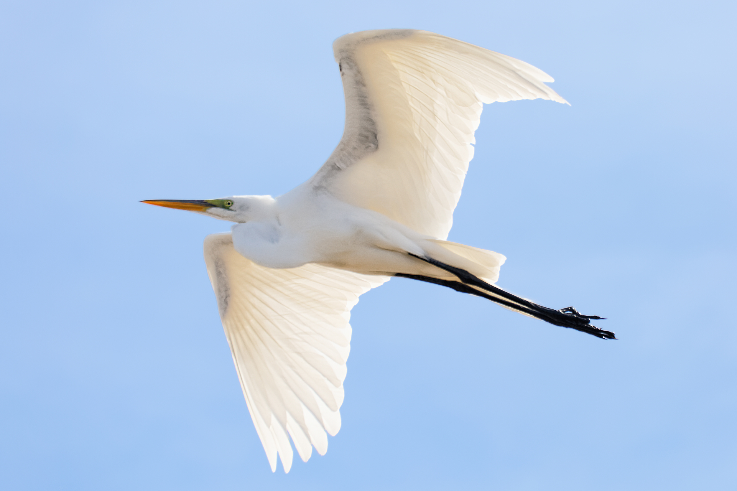 _G7A6810_DxO-1-1.jpg