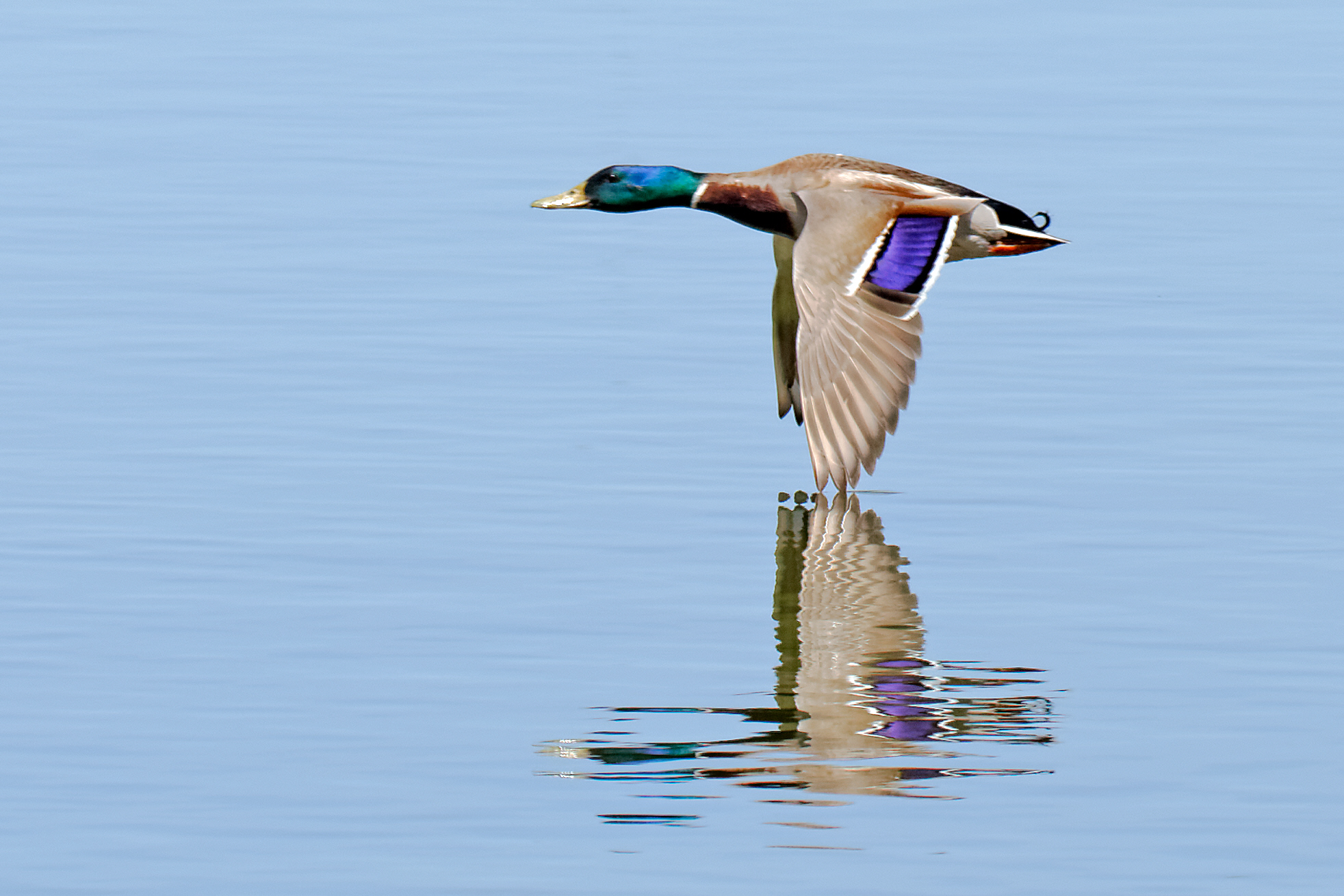_G7A9212_DxO.jpg