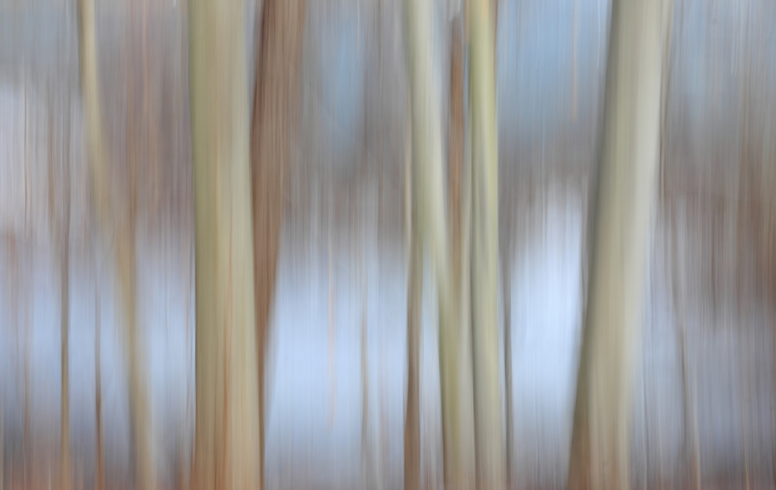 TheSwayOfStonyBrookMillpond.jpg