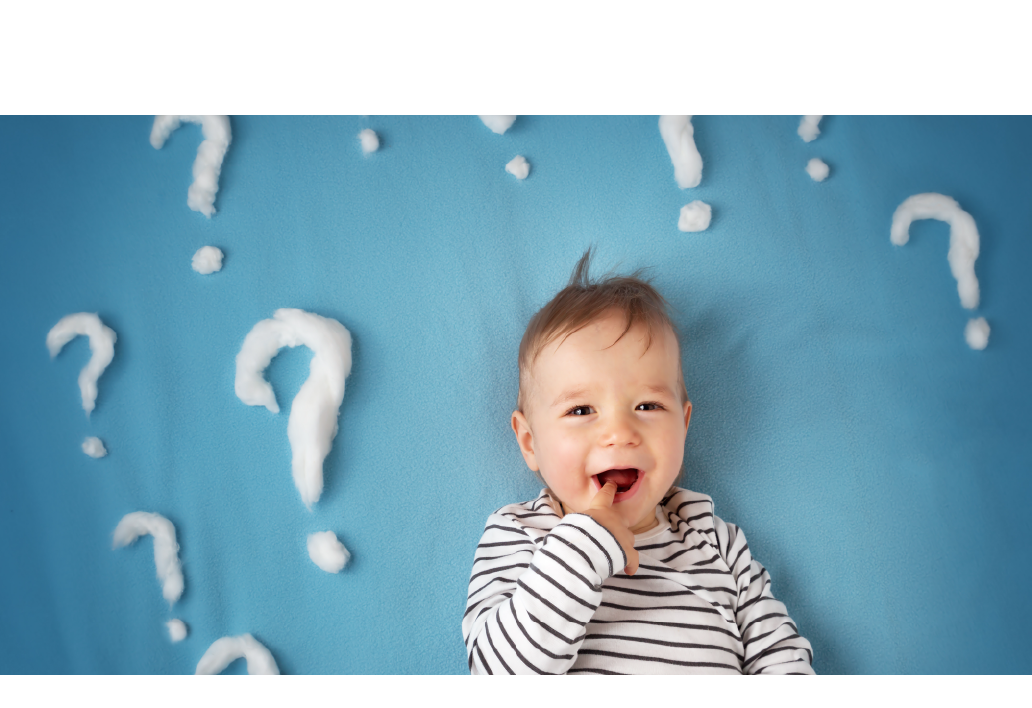 AdobeStock_97628297crop.png