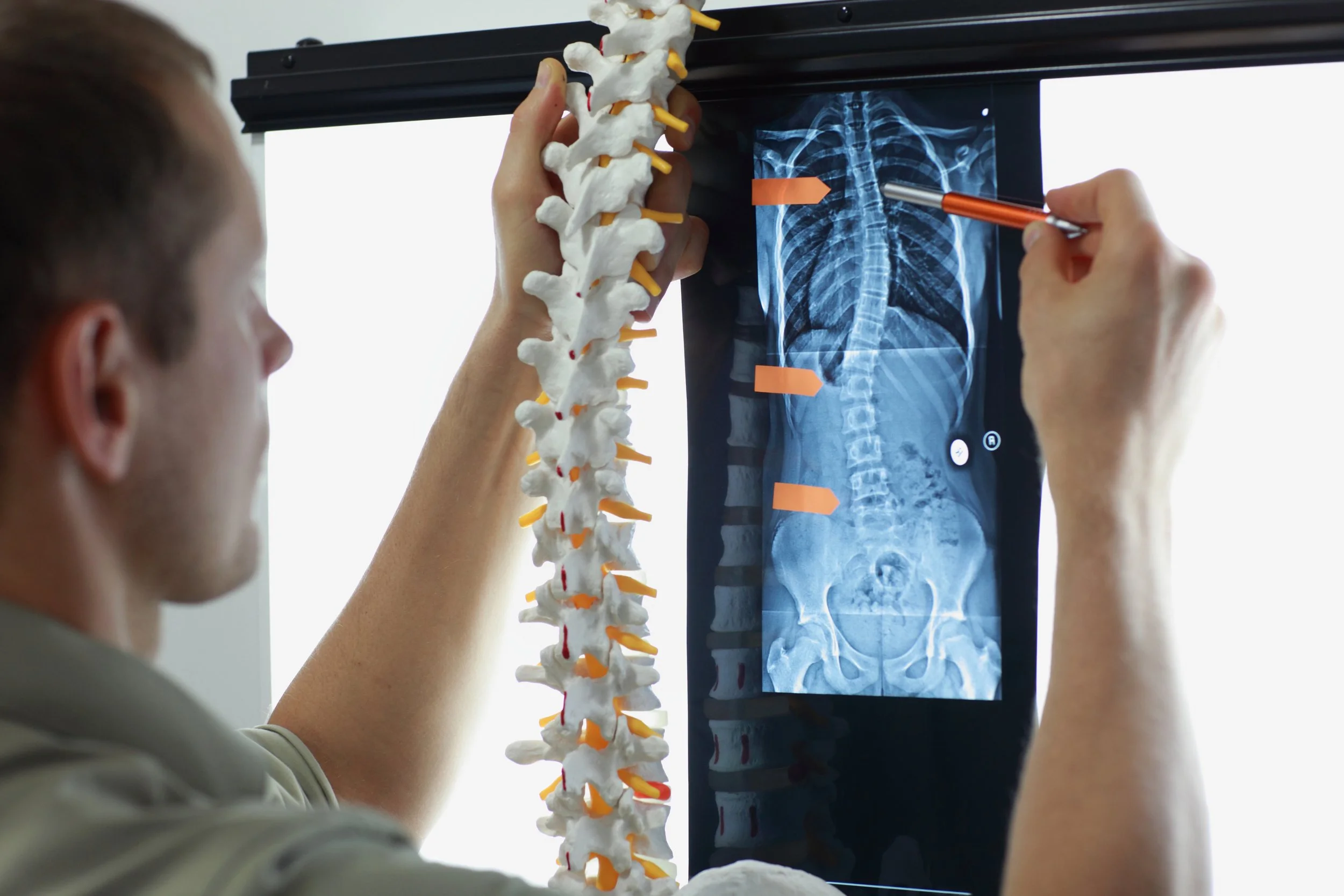 Chiropractor Hobart Fees.jpeg