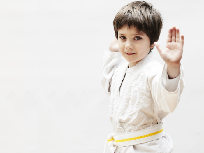 Dragons Karate McKinney TX.png