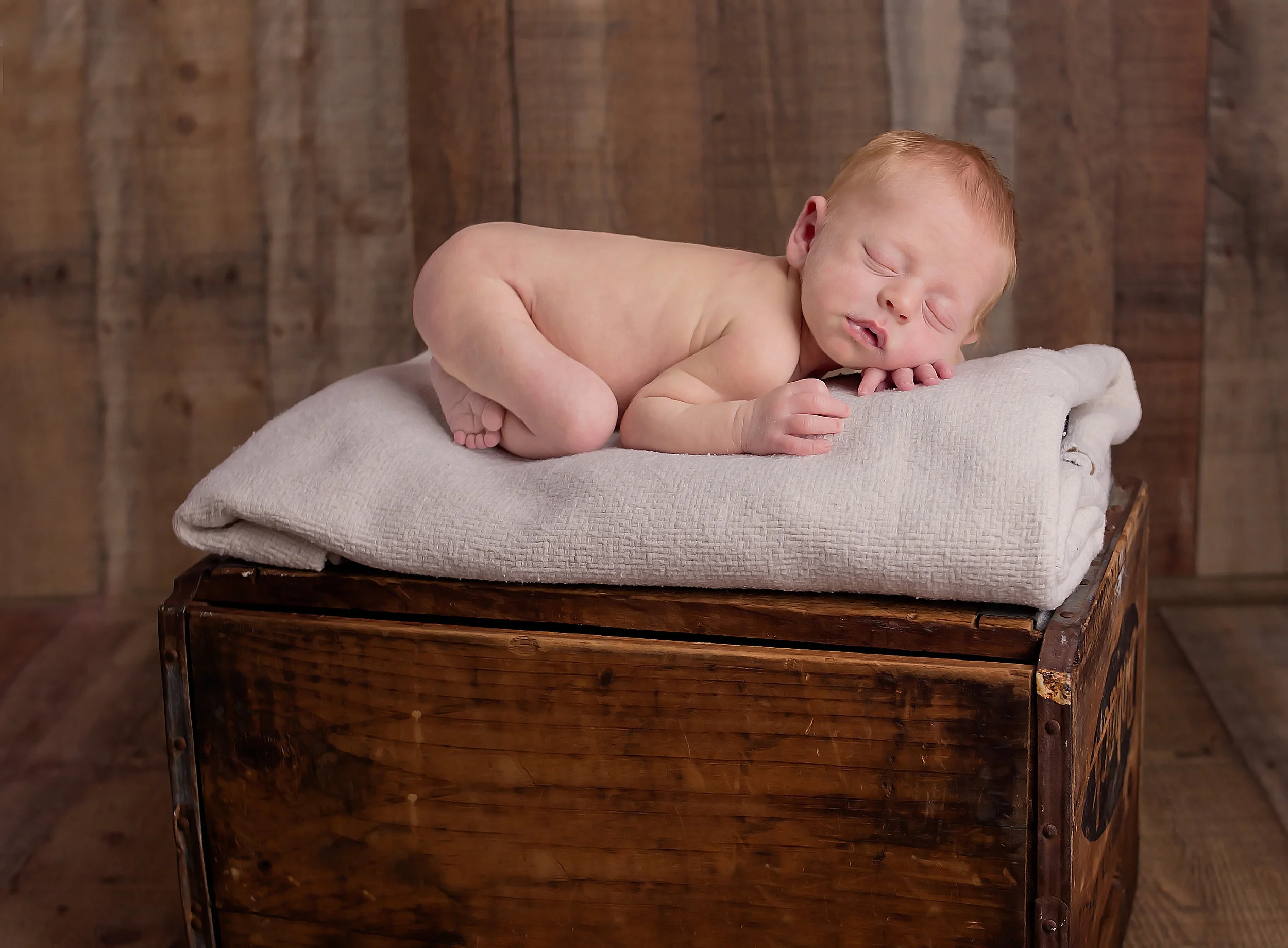 newborn sarasota photographer.jpg