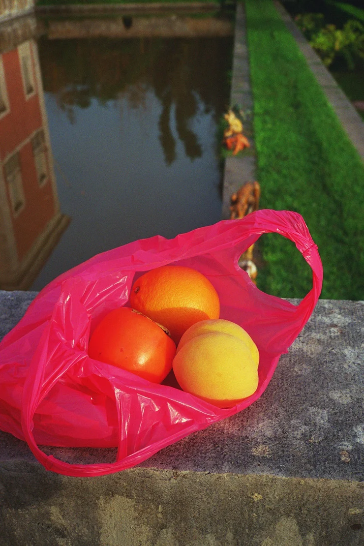 06.jpg