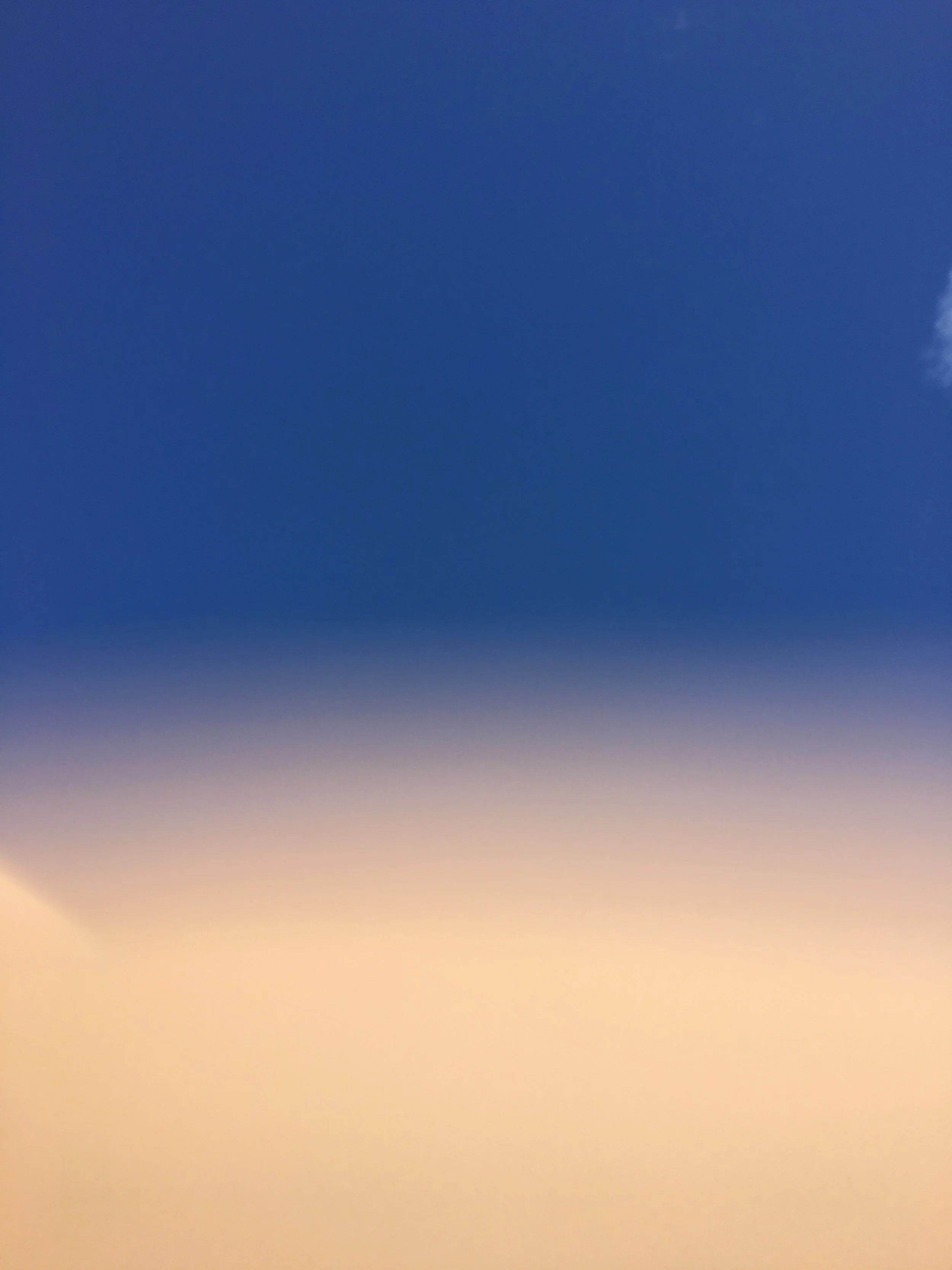 Landscape and Self (Coogee)