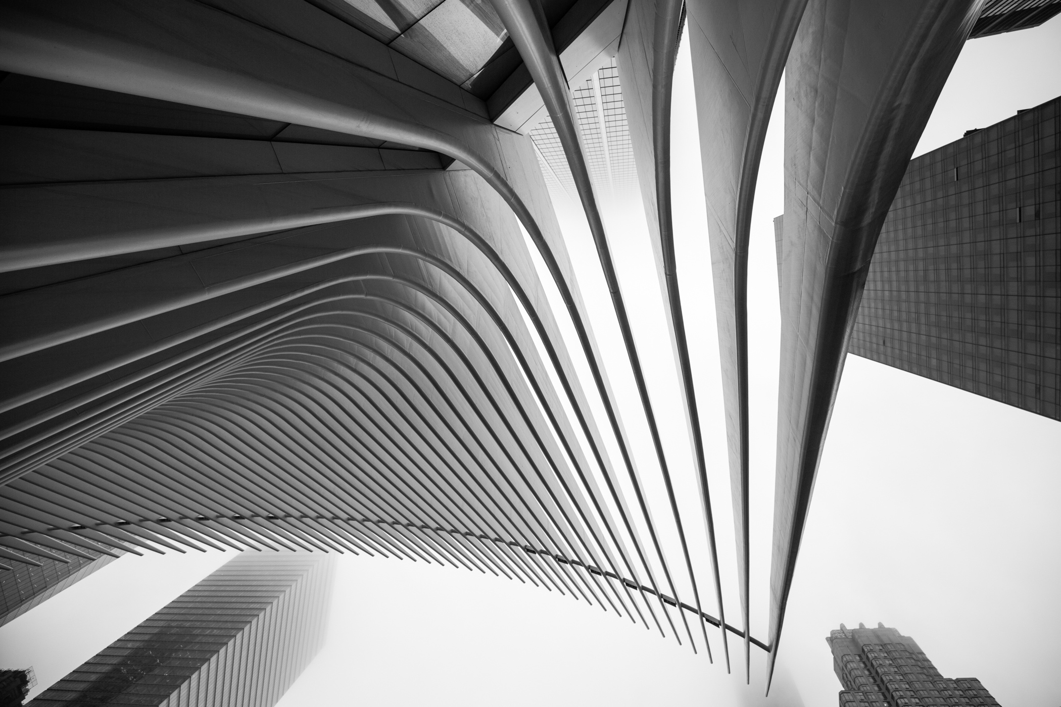 "Convergence"