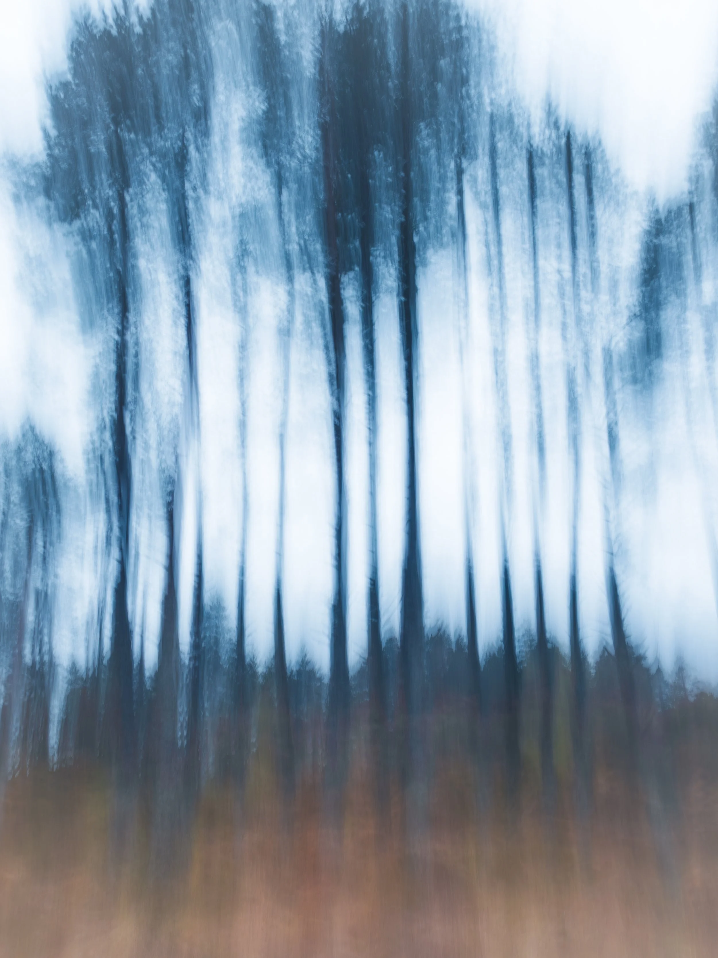 “Where the Pines Remember” “Light Sleeps on the Loch” , by Susan MacDonald