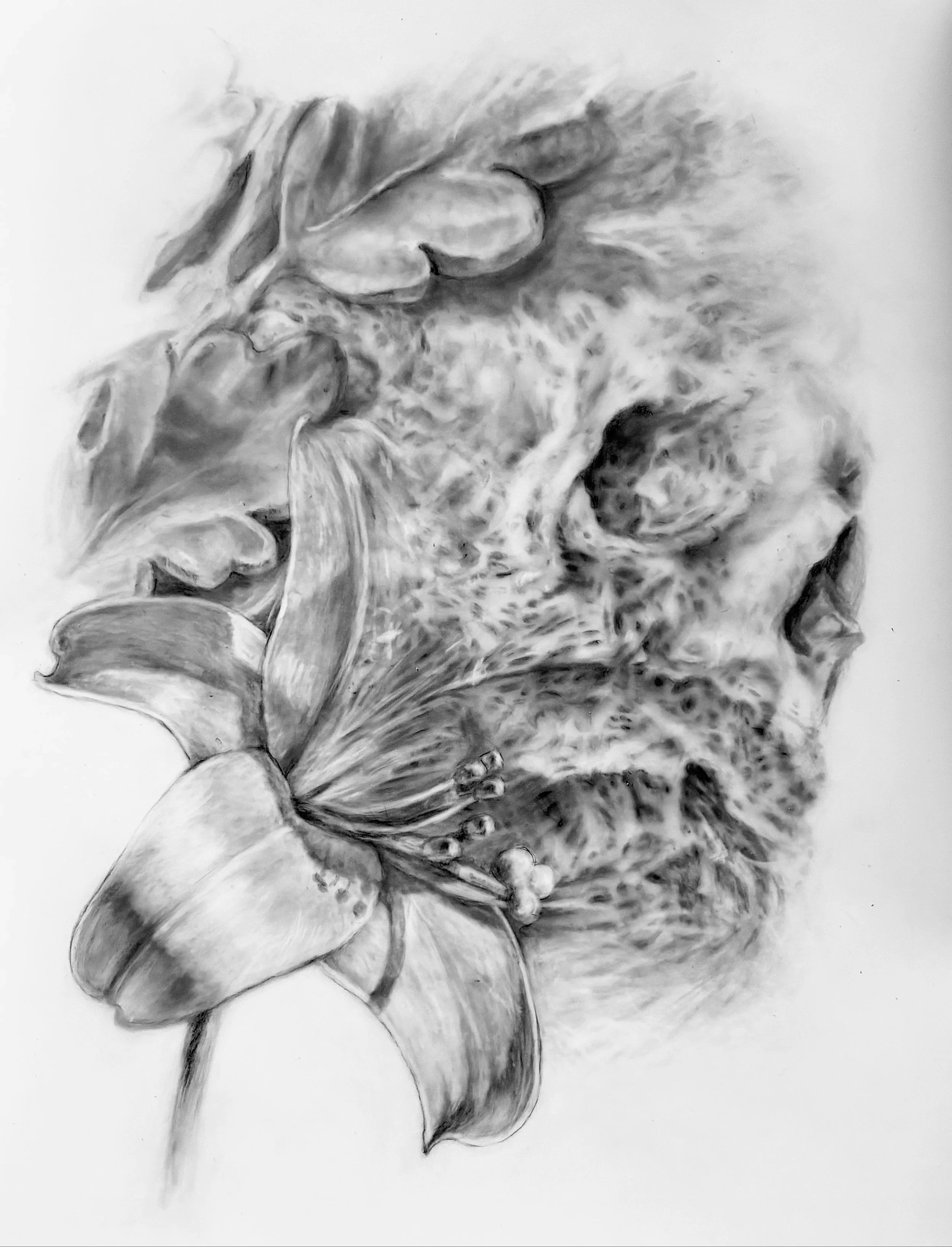 Devotion & Transformation", by Anne Novado