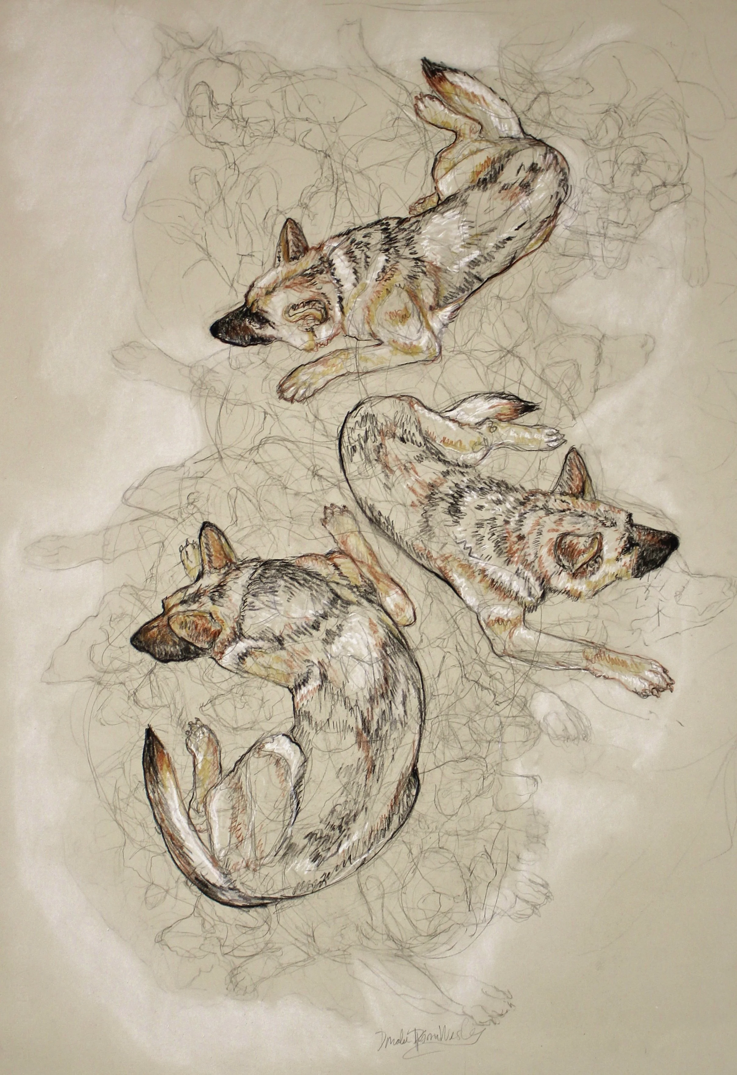 "Sleeping Shepherds" by Donalee Peden-Wesley