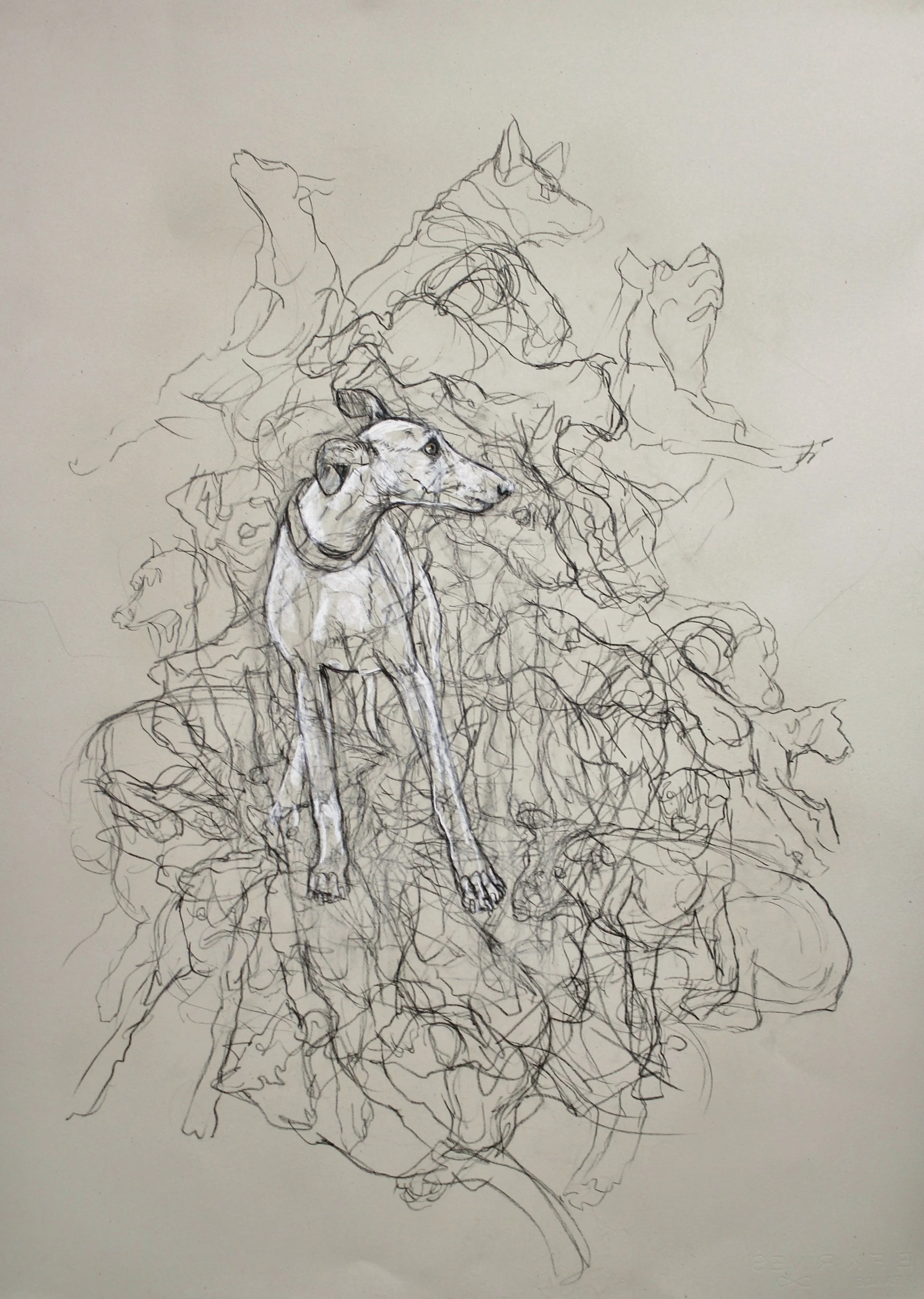 "Gestural Whippets", by Donalee Peden-Wesley