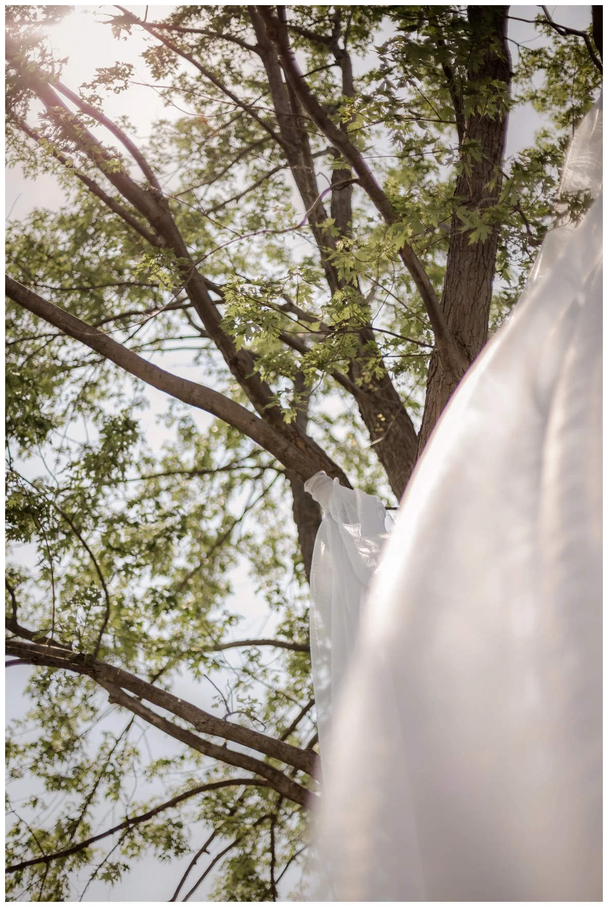 Cleveland Wedding Photographers - Alyssa and Steve_0008.jpg