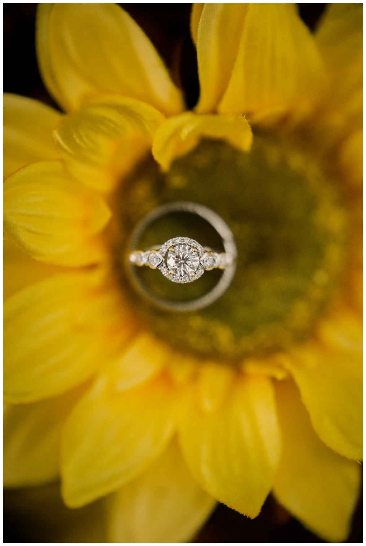 Downtown Willoughby Wedding_0092.jpg