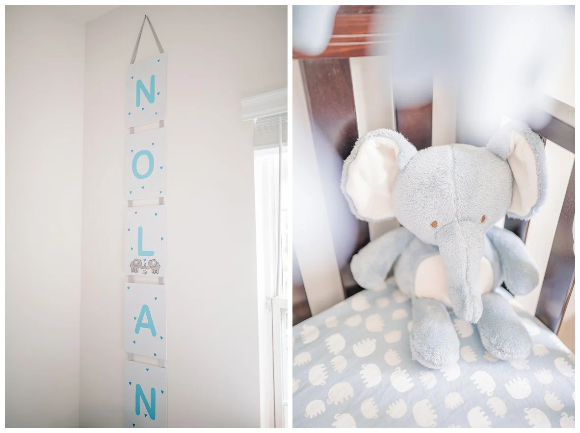 In Home Newborn Session_0014.jpg