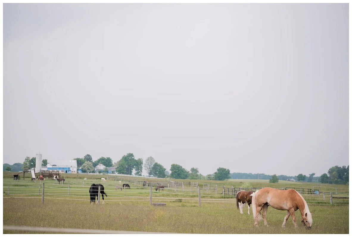 Nickajack Farm Wedding_0001.jpg