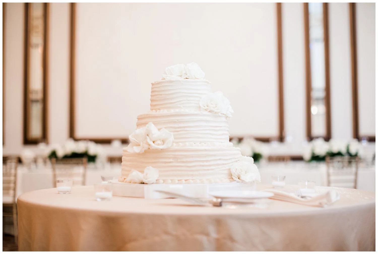 Cleveland Renaissance Downtown Wedding_0149.jpg