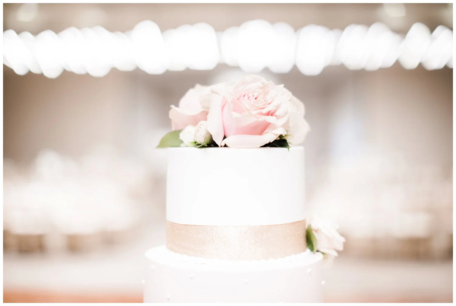 Downtown Cleveland Wedding_0147.jpg