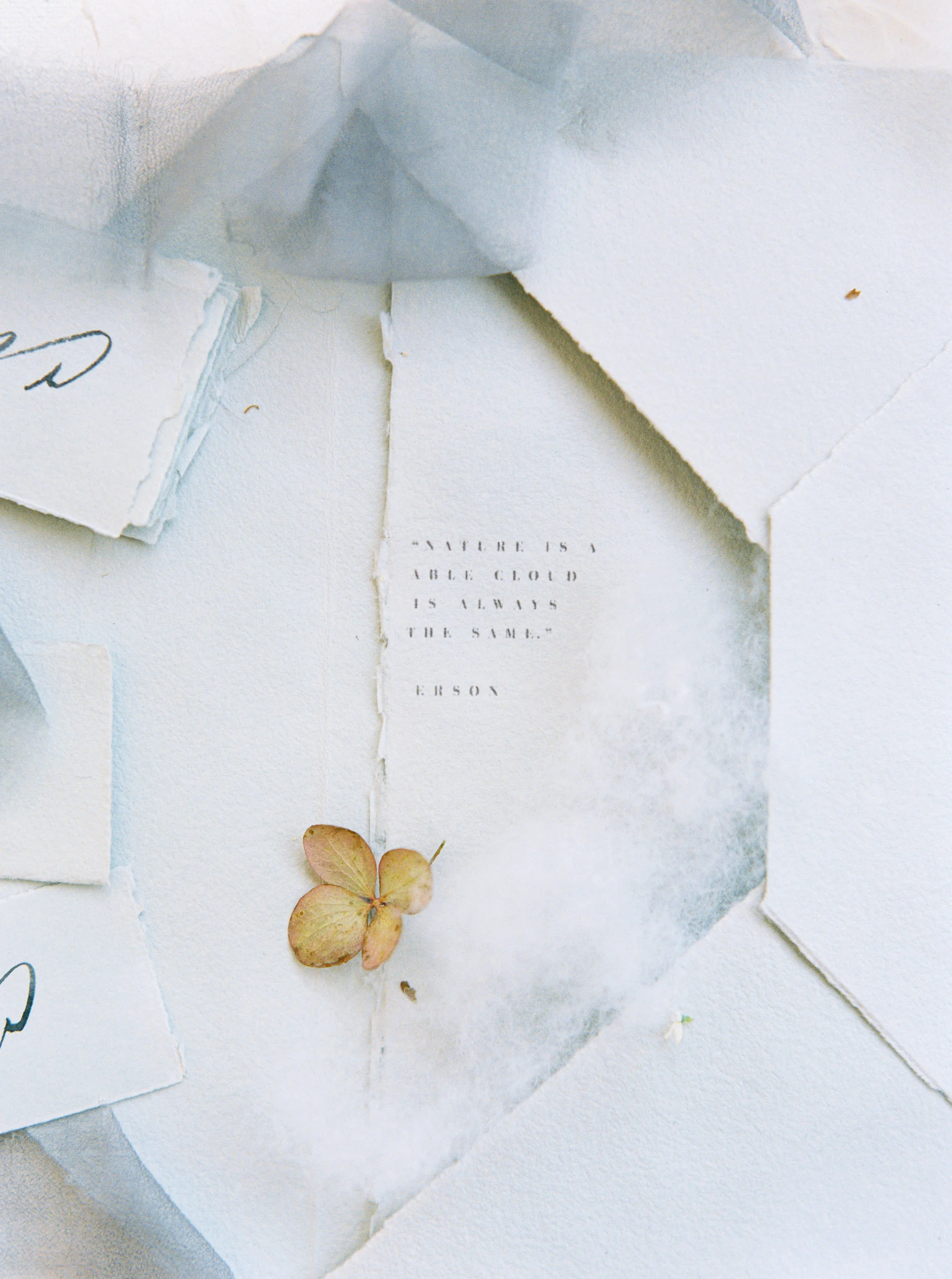 thelovedco-113.jpg