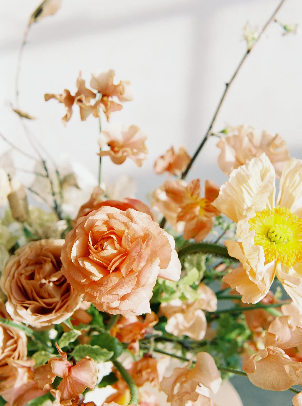 winterspringstyled-125.jpg