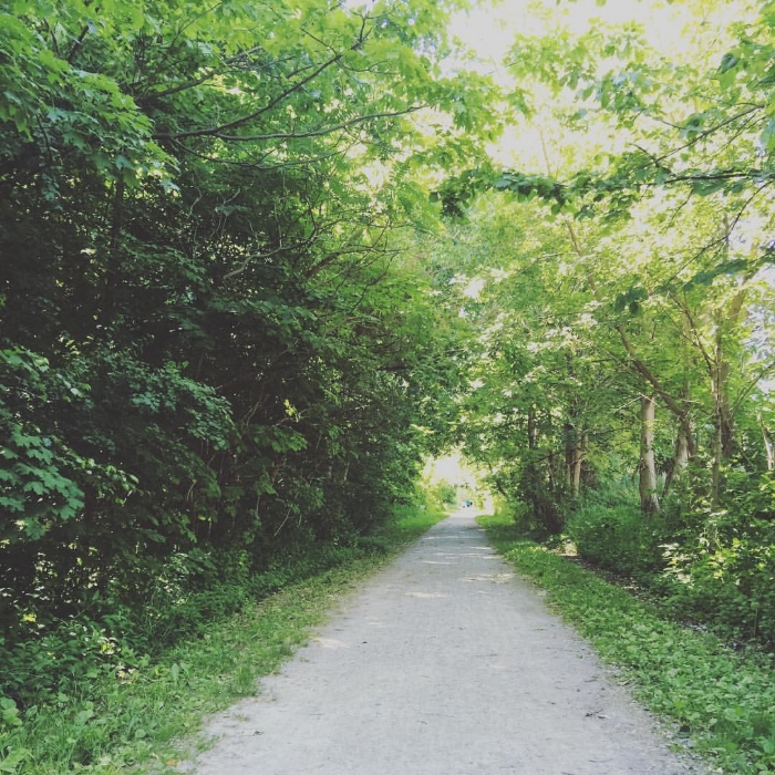 A favourite feature of my new neighborhood - a great trail just blocks from our house!