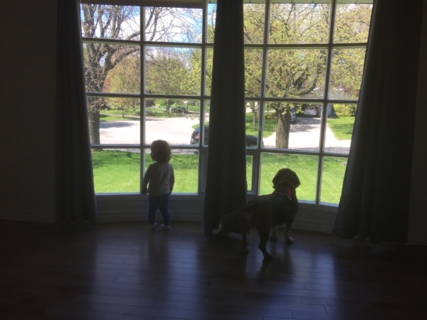 I'm sure these two are dreaming of all kinds of ways to love those neighbours outside our window...