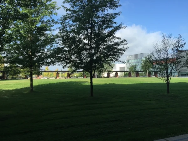 Polansky Commons at UOIT/Durham College