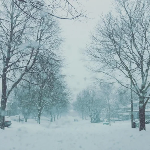 A very very snowy picture of my place - my neighbourhood in North Oshawa.